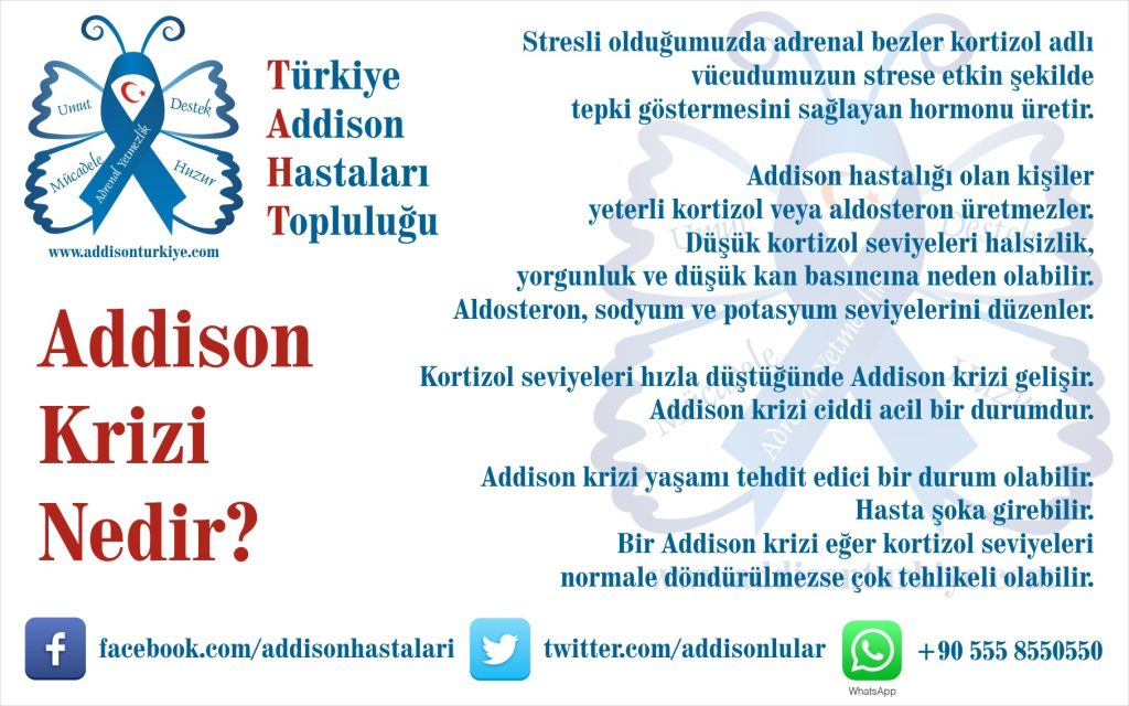 Addison’s disease information image 3