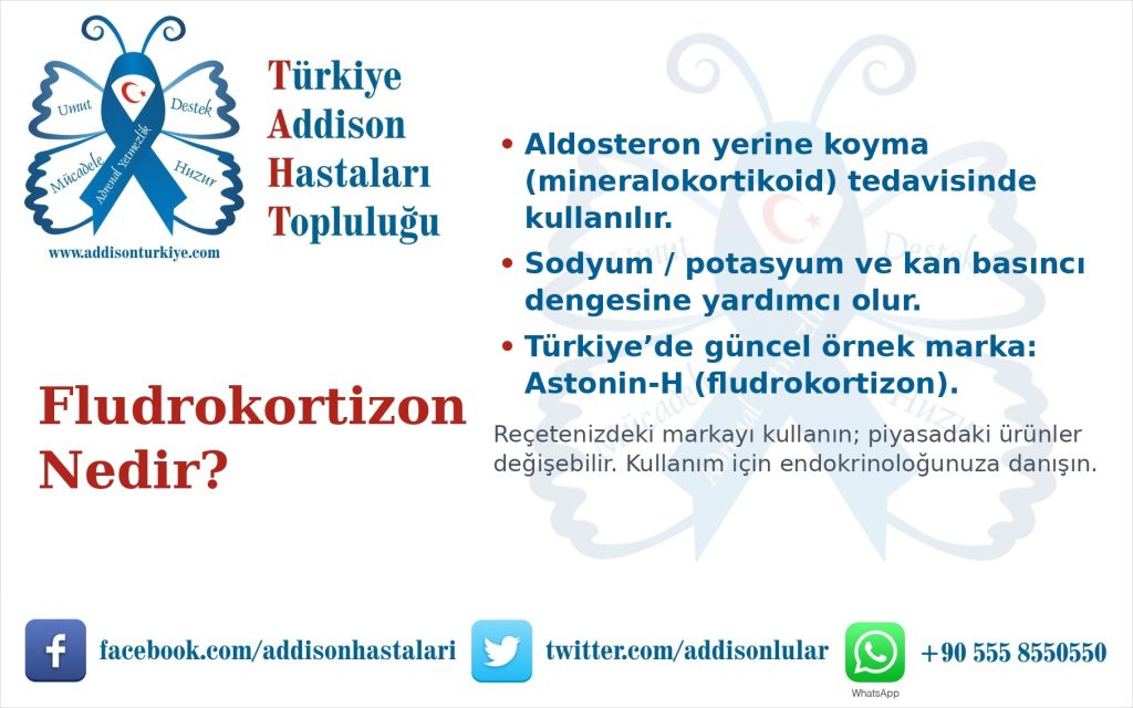Addison’s disease information image 15
